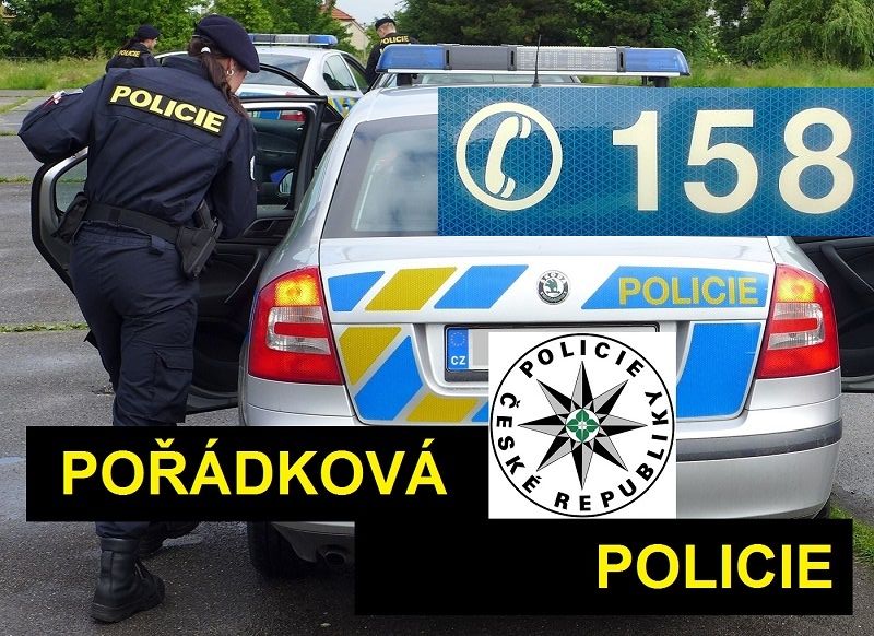 pořádková policie