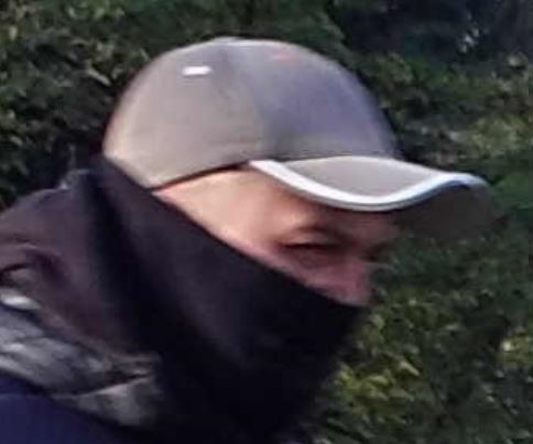 poigen_3.jpg