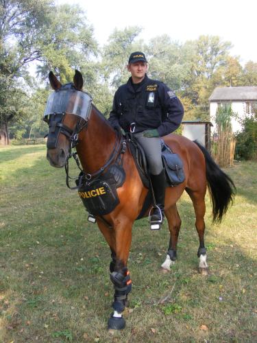 policejní koníček