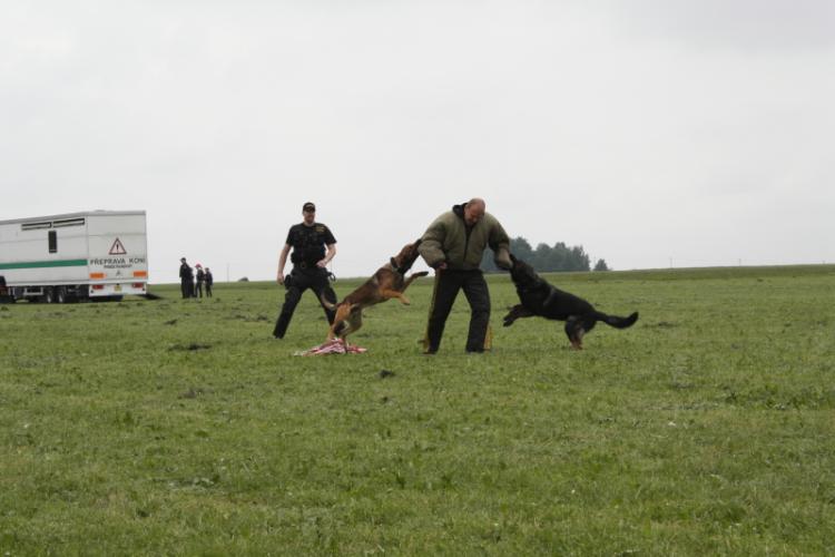 policejní psovodi 