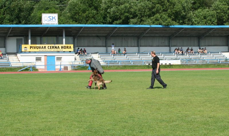 policejní psovodi.JPG