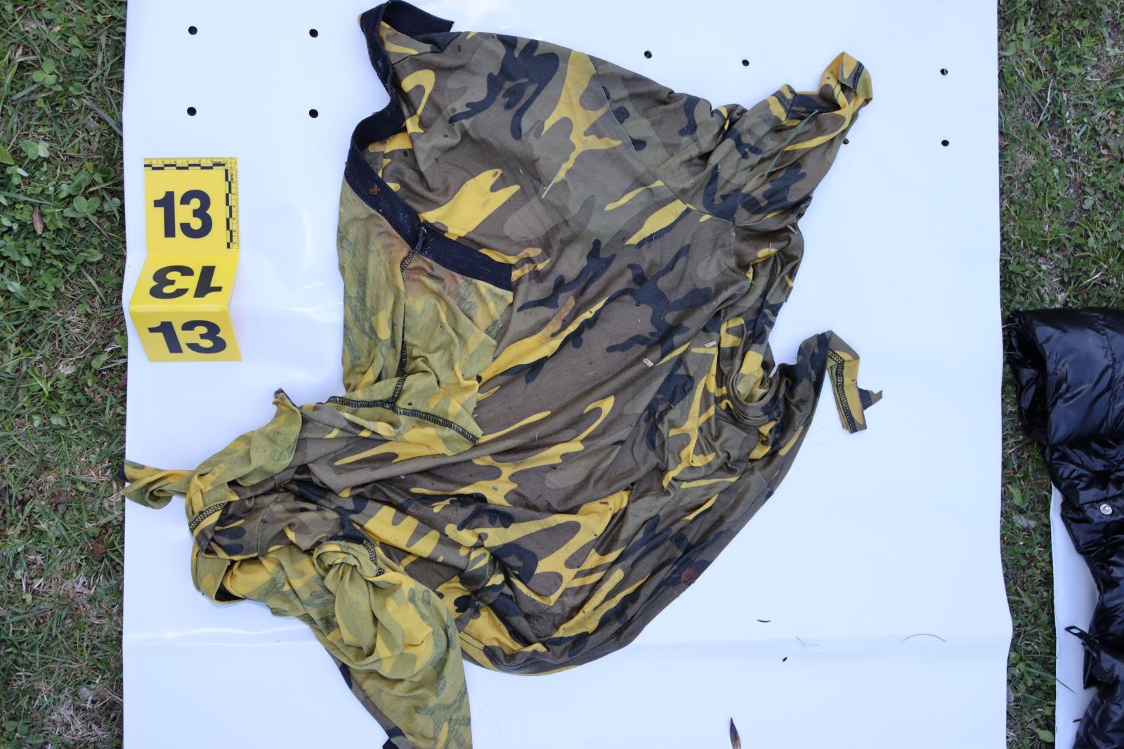 pomoc při ztotožnění