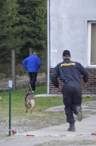 přebor psovodi 2013