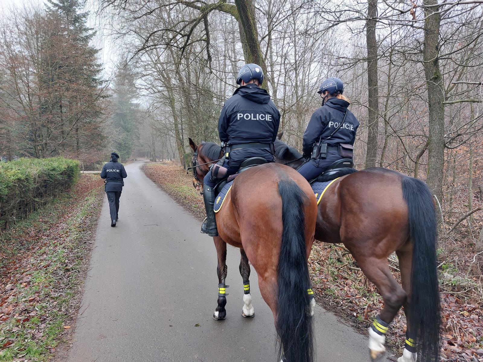 preventivní kontrola chat