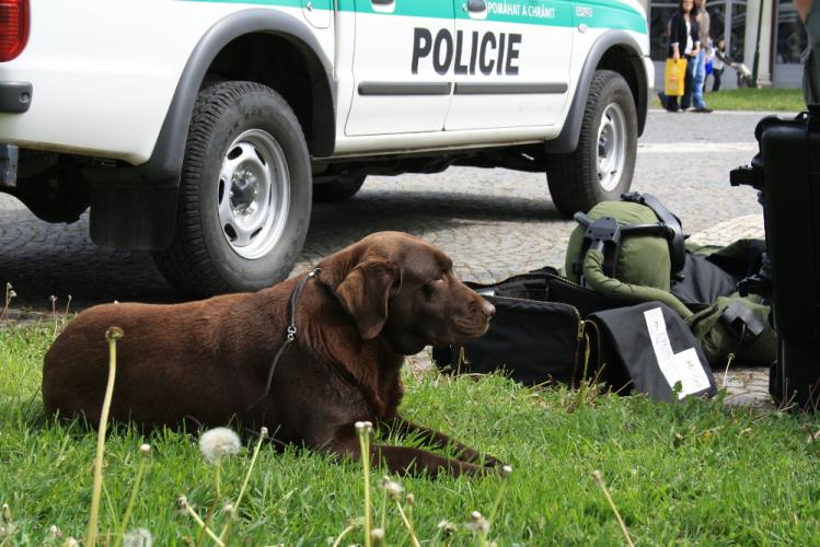 prezentace policejní činnosti 021