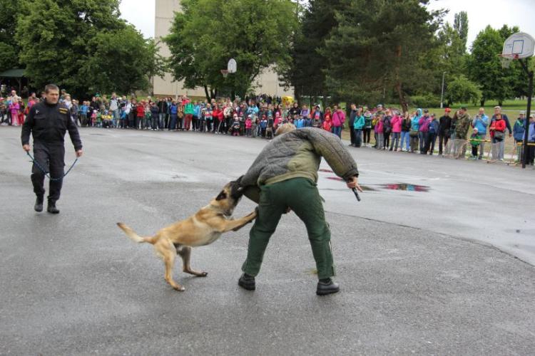 prezentace policejních psovodů 10