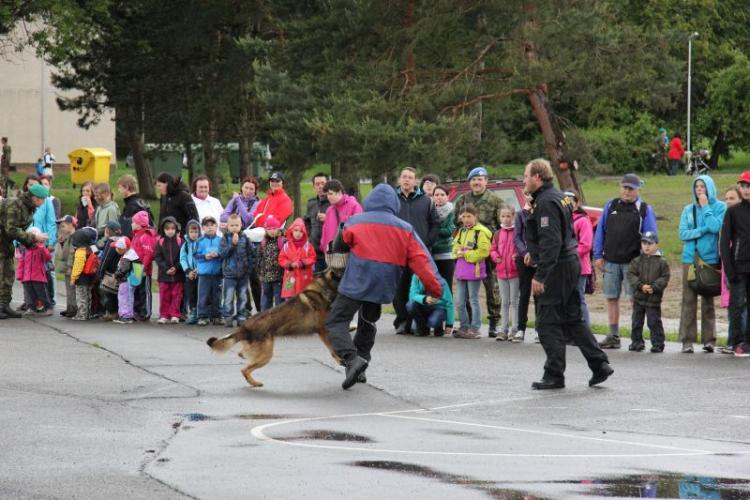 prezentace policejních psovodů 5