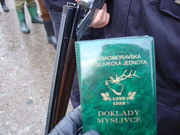 probíhající kontrola