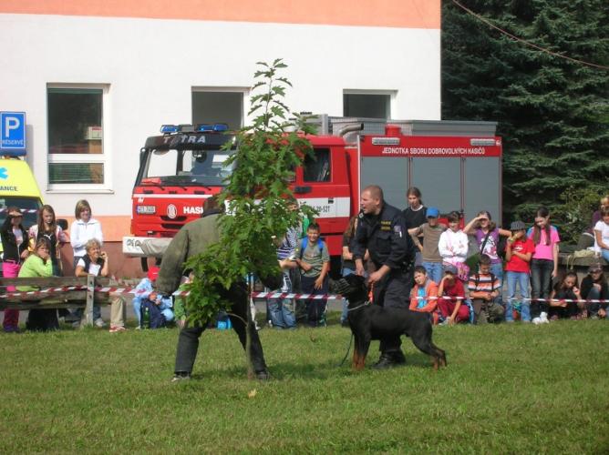 psovodi