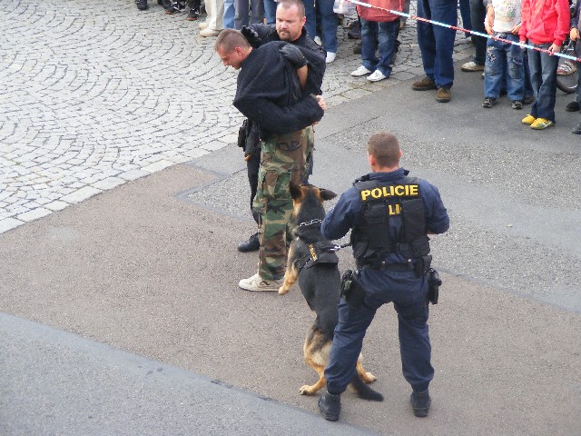 psovodi