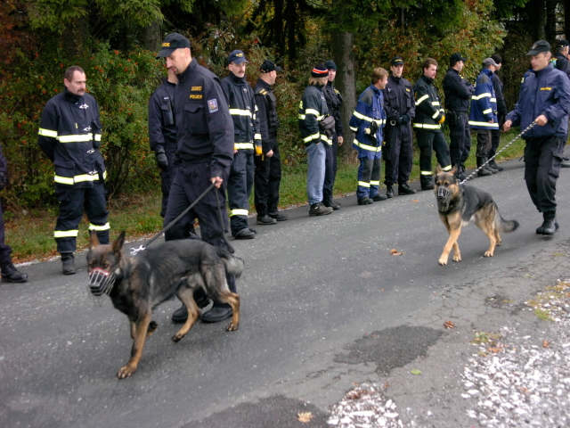 psovodi