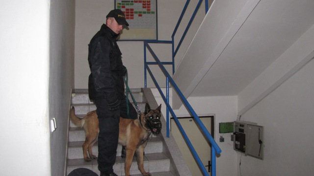 psovodi 1