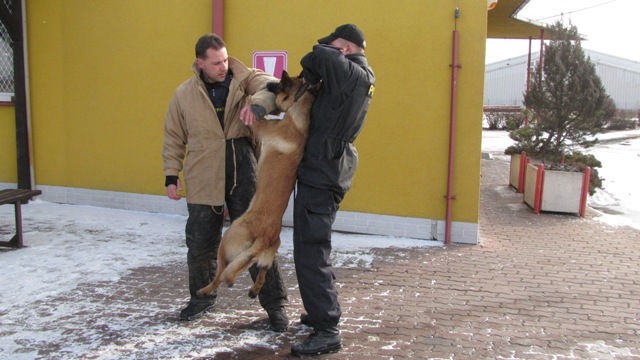 psovodi 3