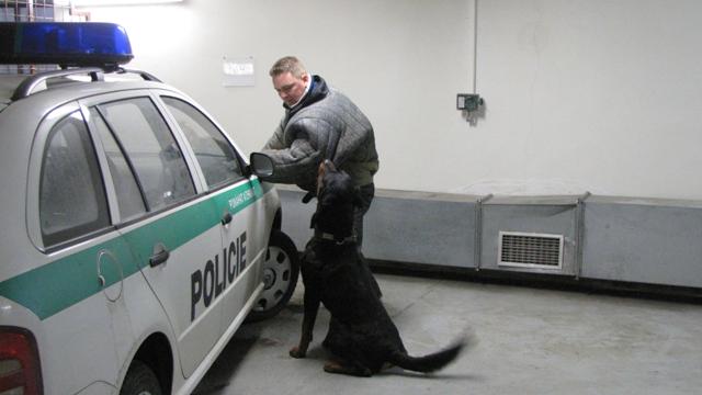 psovodi 7