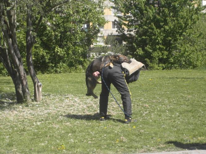 psovodi1.JPG