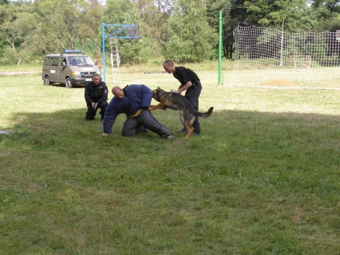 psovodi_tábor_Svosin_2008.jpg
