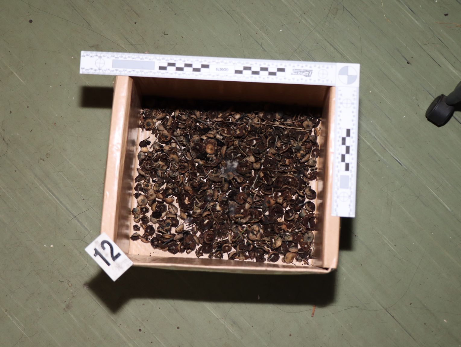 realizace toxi Trutnovsko