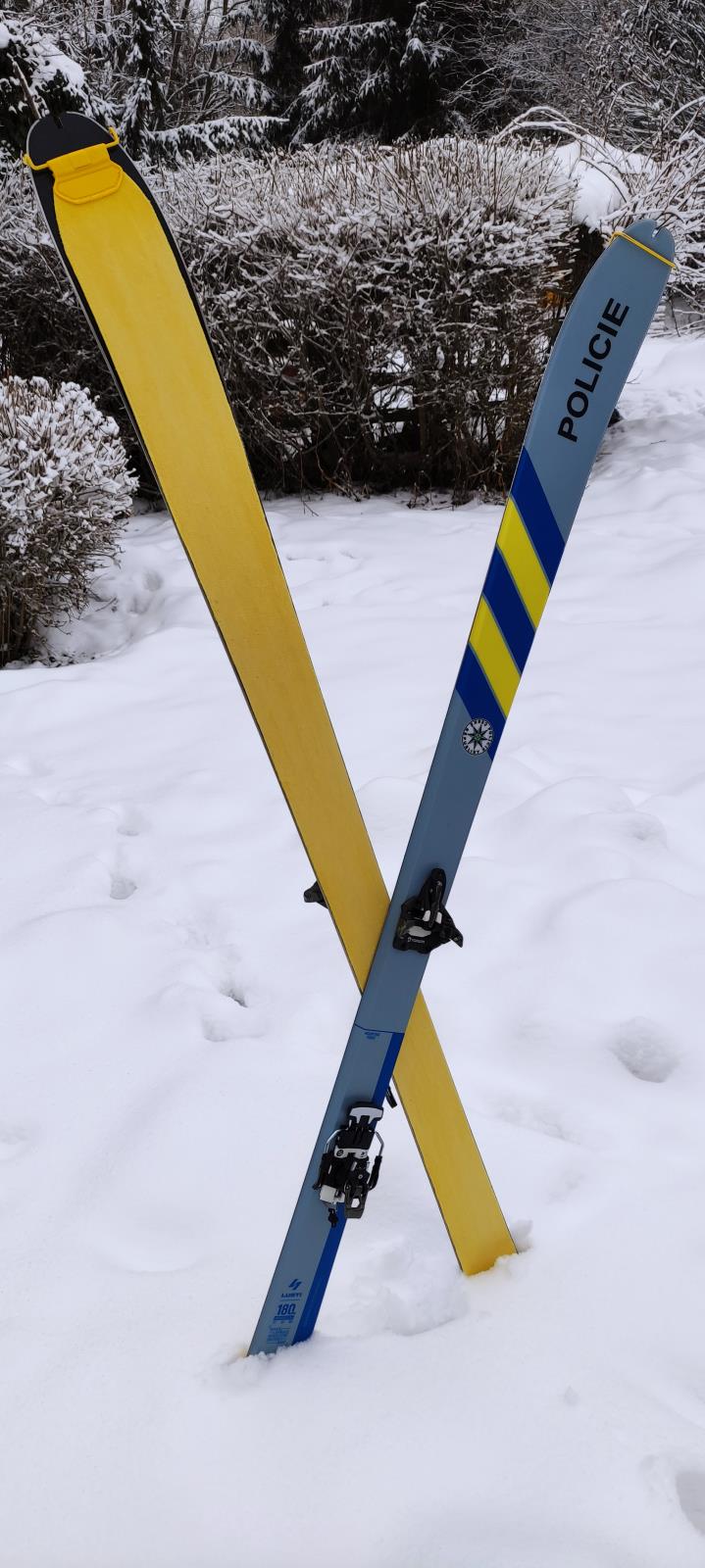 skialpy.jpg