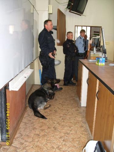 škola5