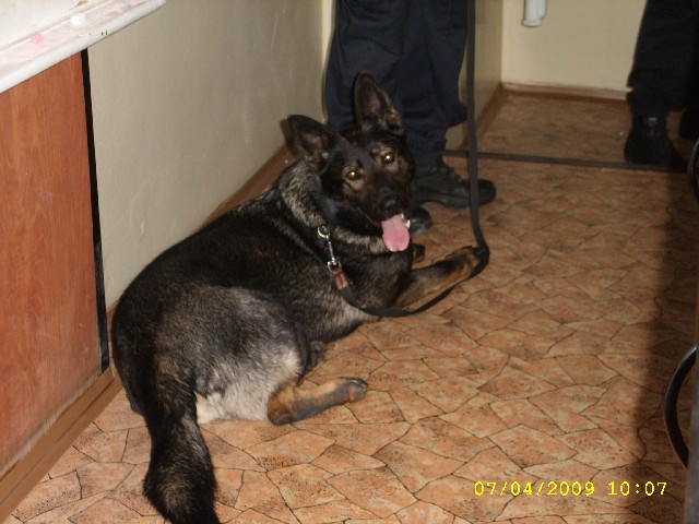 škola6