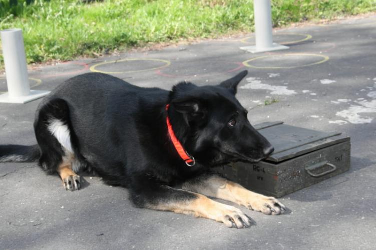 školka 4.jpg