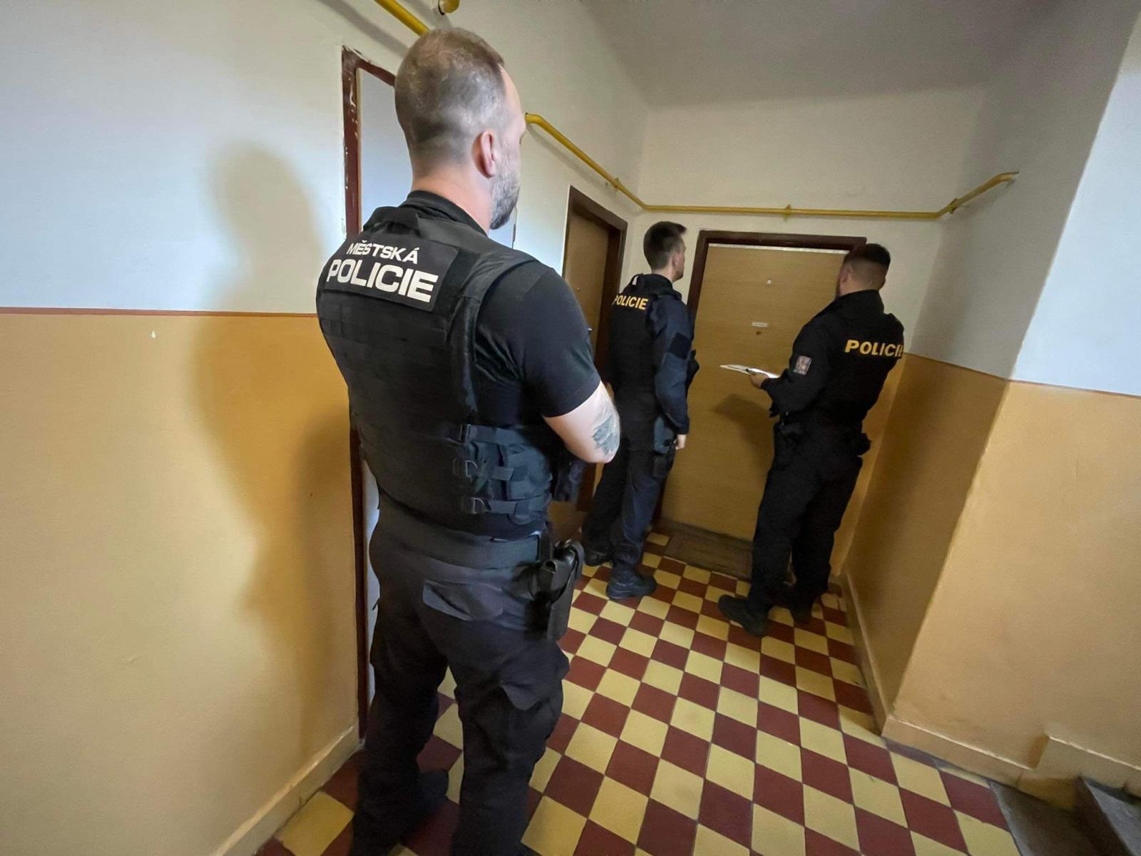 společná hlídka 2.JPG