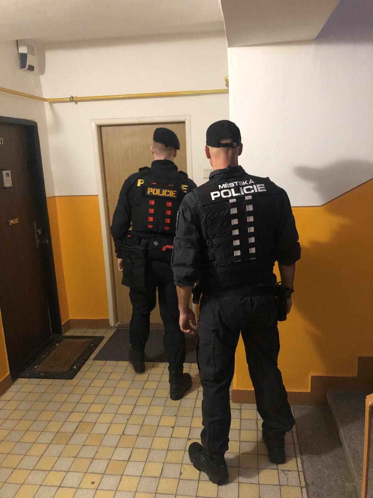 společná hlídka.JPG