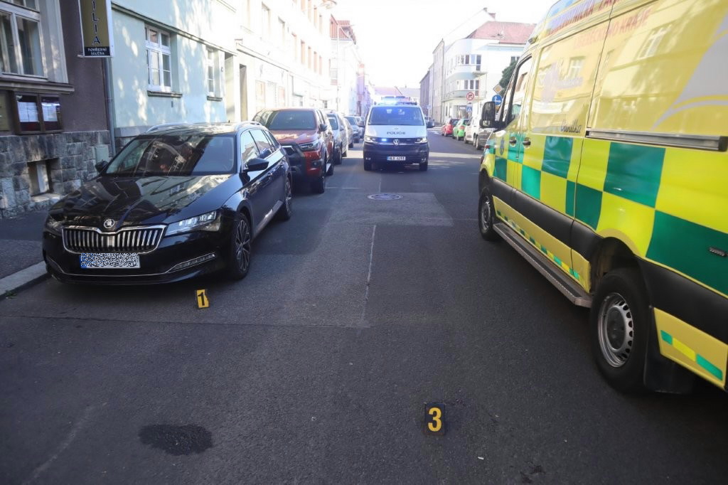 sražená cyklistka 1