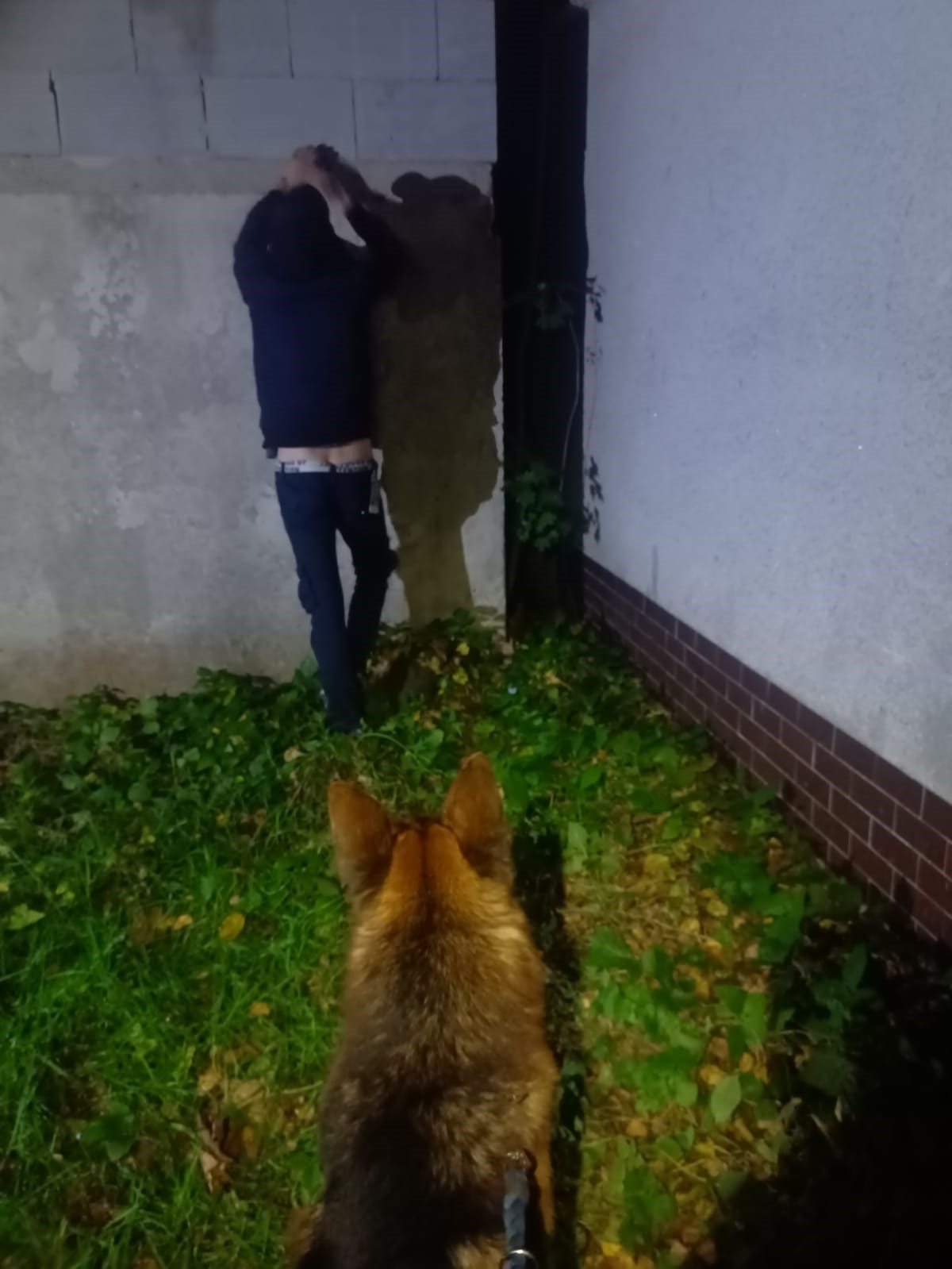 střežení.jpg