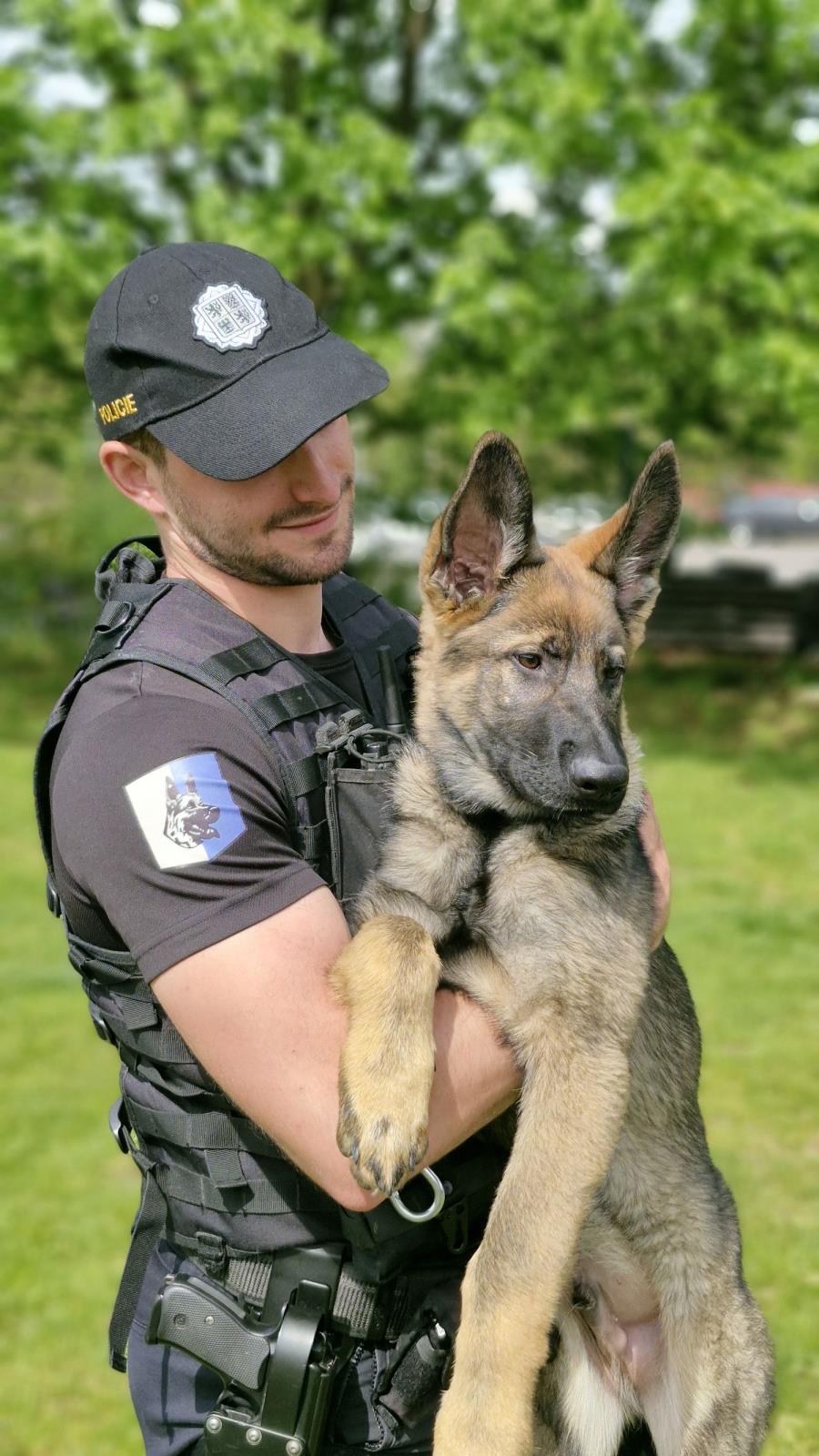 štěňata_policista (2).jpg