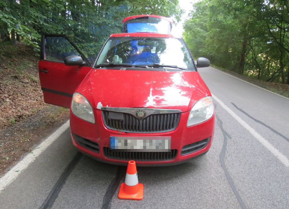 střet se zvěří