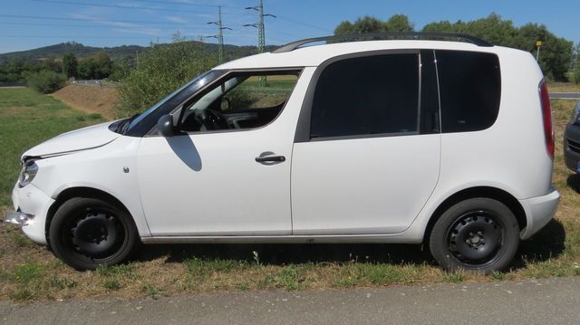 střet se zvěří