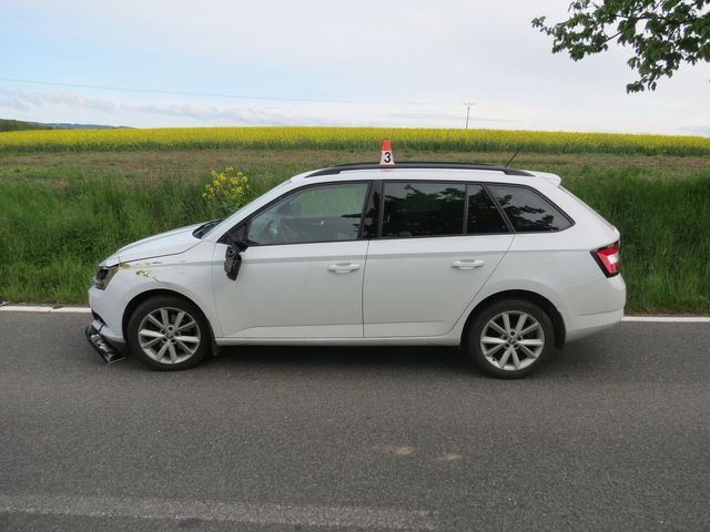 střet se zvěří