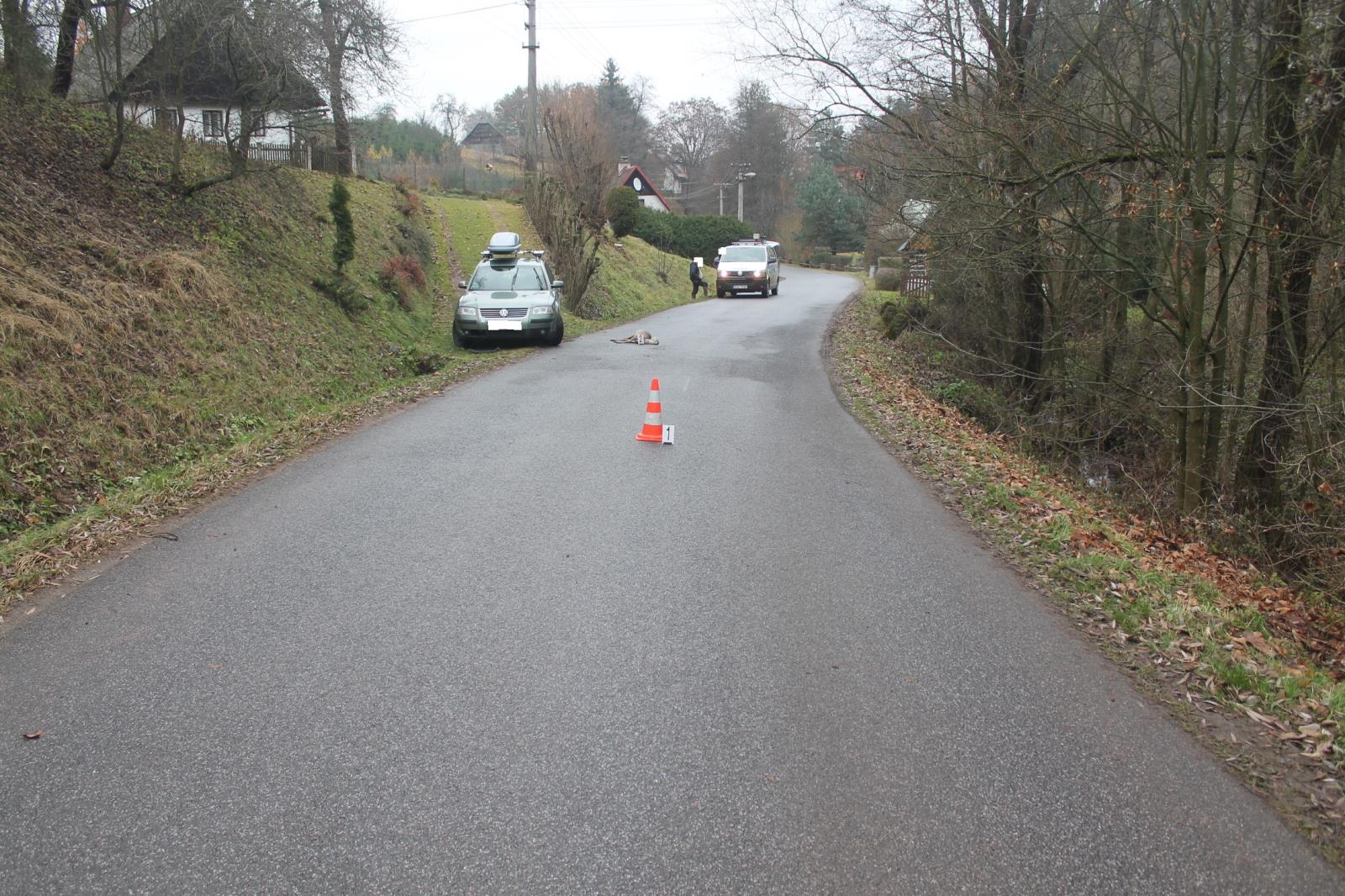 střet se zvěří - 1