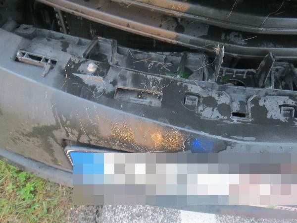 střet se zvěří 12.9.2019