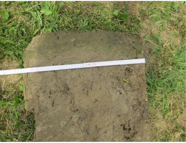 studna Bohdalice - nalezená část krytu.jpg