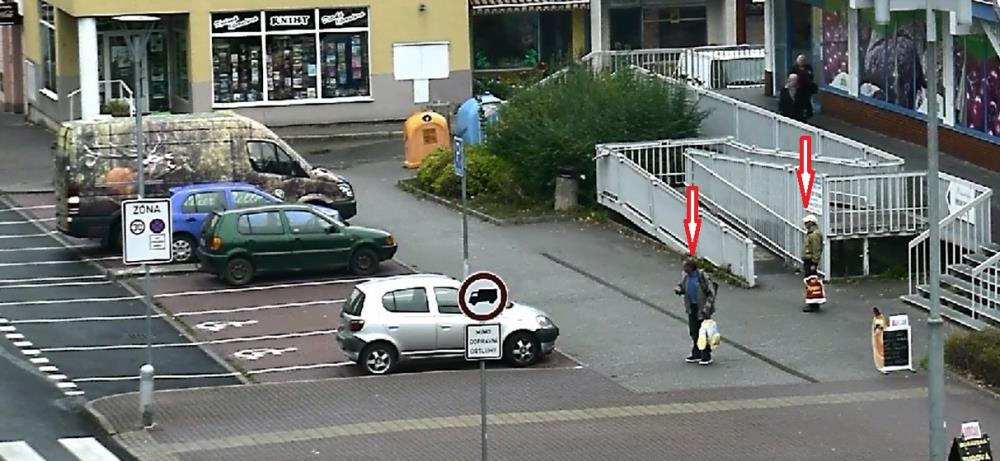 svědci dopravní nehody 