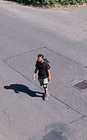 svědek