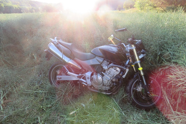 u Podhradí nad Dyjí - moto 1