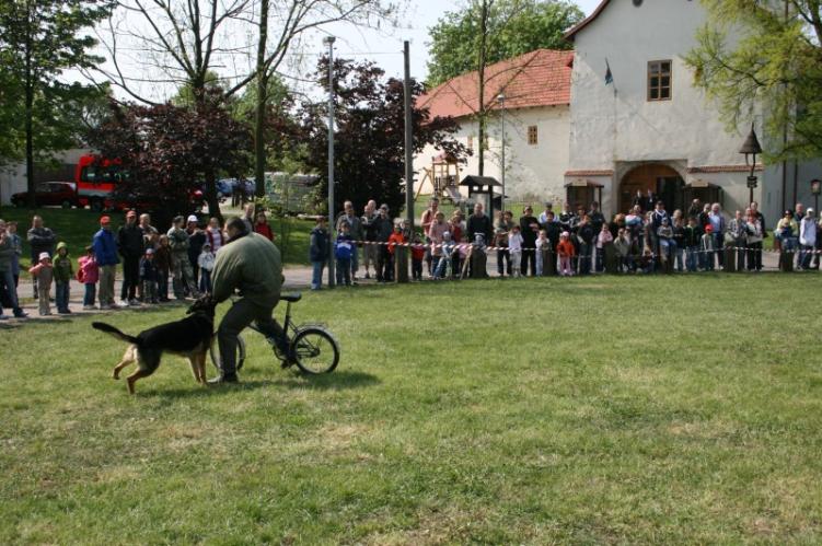 ukázka kynologů