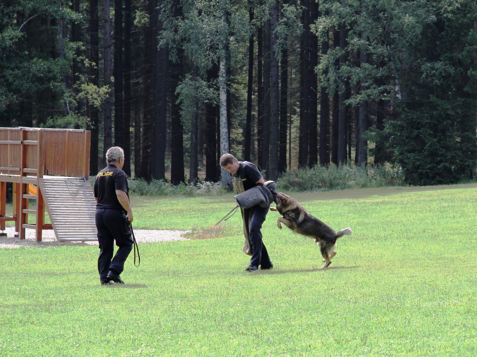 ukázka práce policejních psovodů