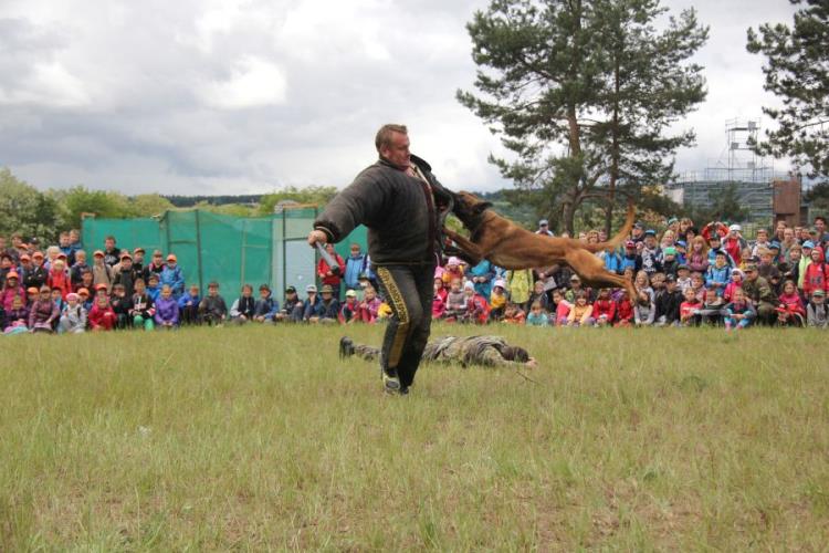 ukázka práce policejních psovodů 1