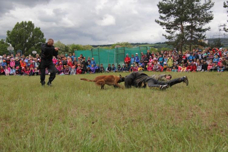 ukázka práce policejních psovodů 2