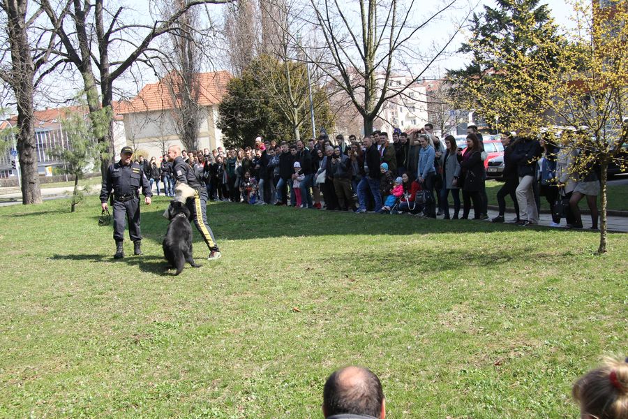 ukázka psovodů 1.JPG