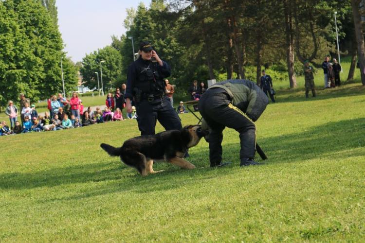 ukázka psovodů 6.JPG