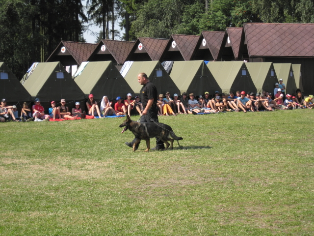 ukázka sl. psů 31.7.08 dětský tábor u Sušice (2)