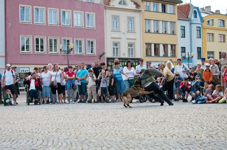 ukázka výcviku psů Policie ČR.jpg