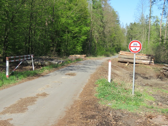 v lese u obce Bojanovice
