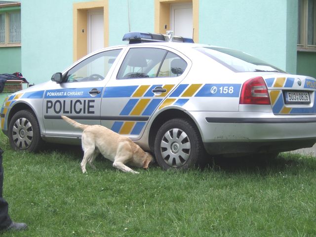 v mateřince 