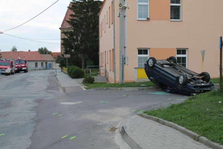 v obci Borotice (1)